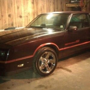 Meet your Posher, Randall